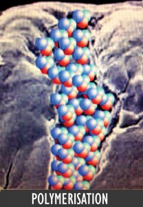 POLYMERISATION